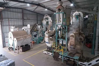 Línea de producción de pellets de combustible